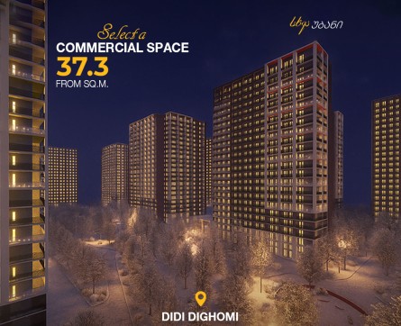Buy commercial space in Didi Dighomi