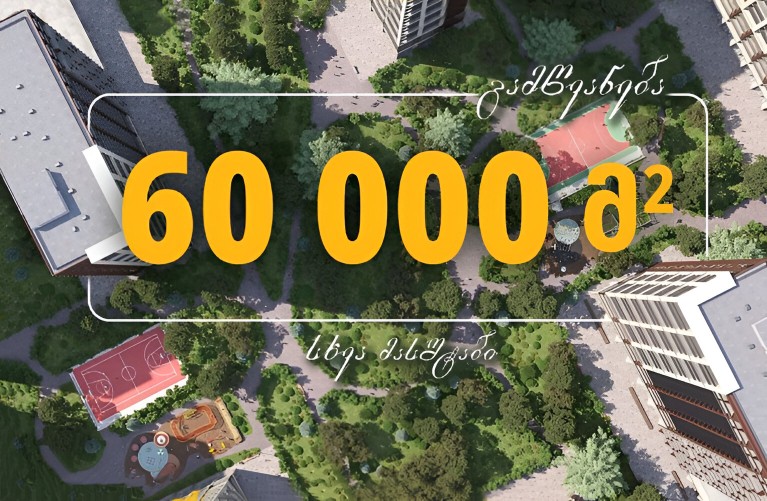 როგორ აძლიერებს მწვანე სივრცეები ცხოვრების ხარისხს?