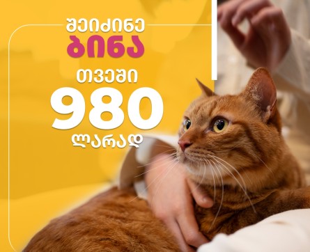 შეიძინე ბინა თვეში 980 ლარად