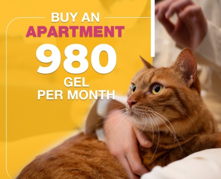 Buy an apartment for 980 GEL per month