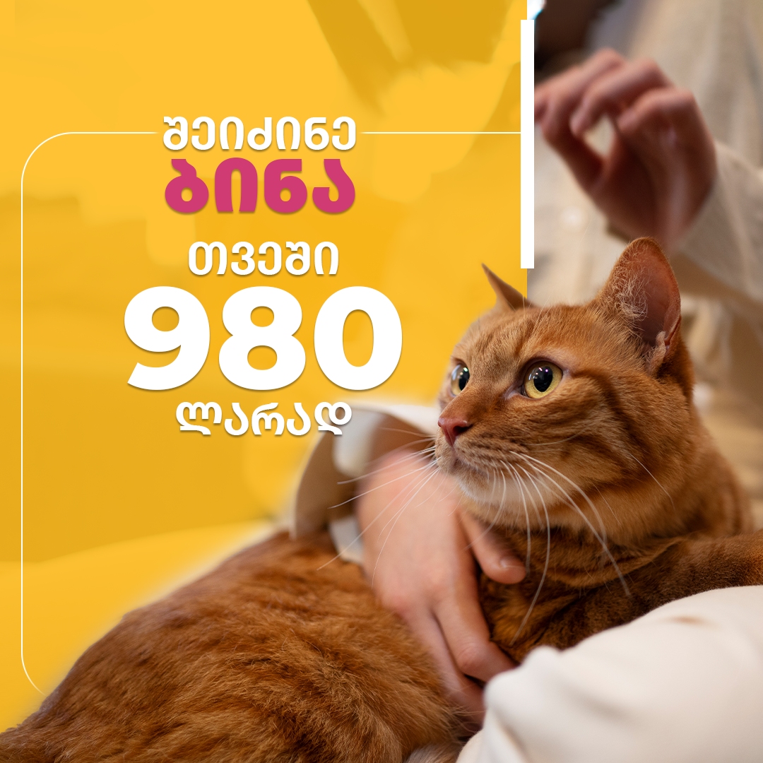 შეიძინე ბინა თვეში 980 ლარად