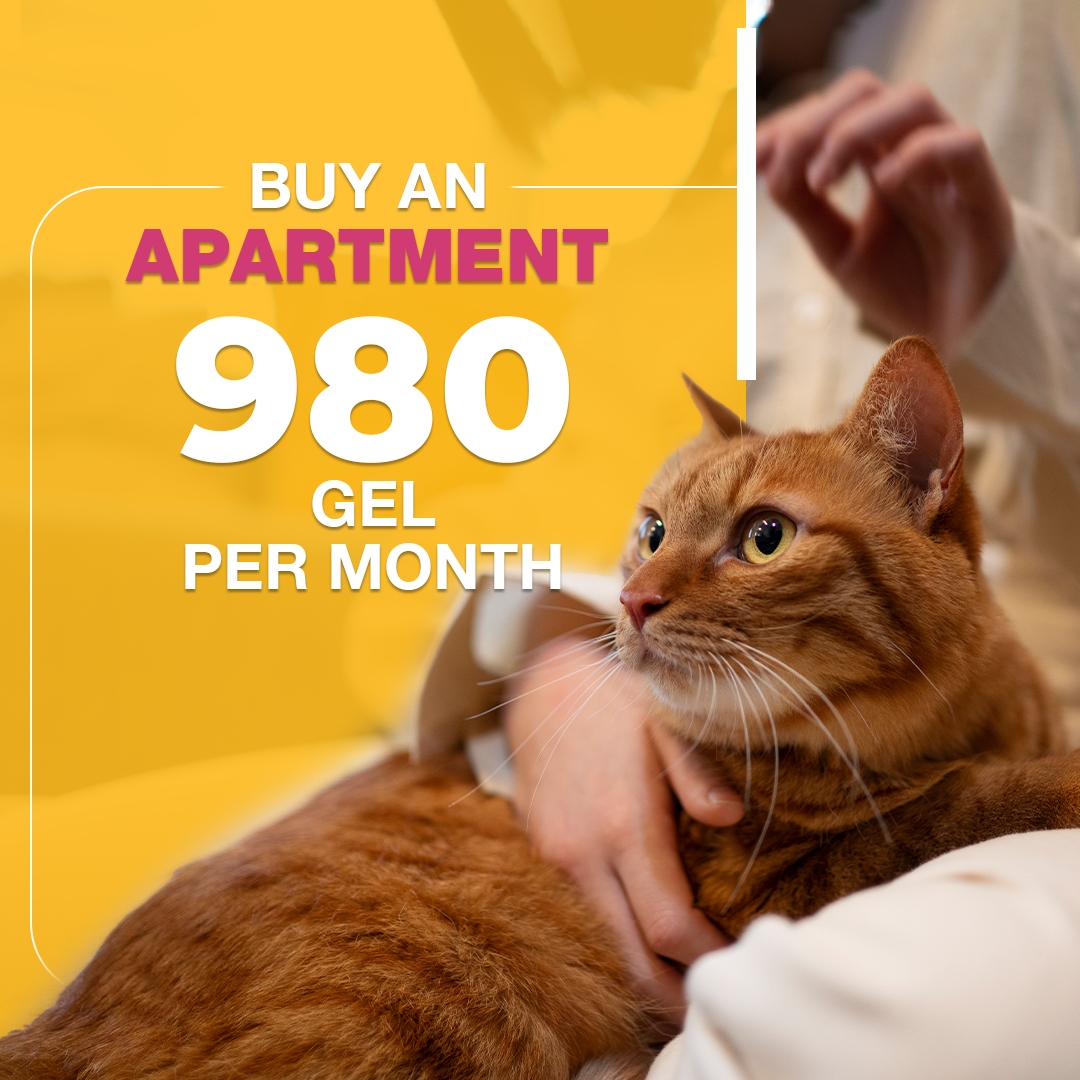 Buy an apartment for 980 GEL per month