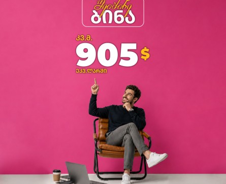 კვადრატული მეტრი 905 დოლარად (ეკვ. ლარში)!