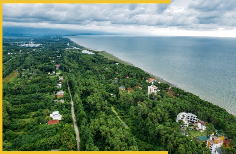 Generating Stable Revenue: The Financial Mechanics of Shekvetili Real Estate