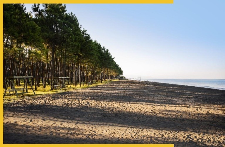 Why is Shekvetili the Best Place for Investment Today?