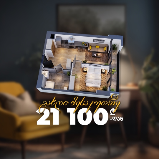 გახდი მესაკუთრე 21 100 ლარად