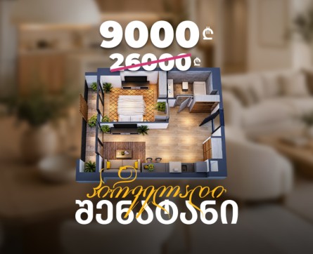 წინასწარი შენატანი 9000 ლარიდან